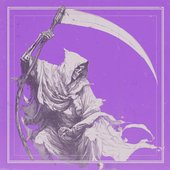 VEIL AESTHETIC