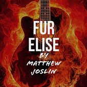 Fur Elise in Metal - Single