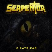 Cicatrizar