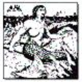 LastFM profile picture for @merman