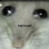Avatar for SamuelRVik