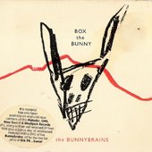 Box The Bunny