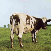 BrandedCow için avatar