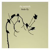 Birds Fly