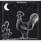 Sabung
