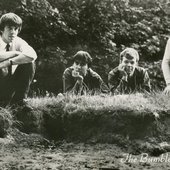 The Bumble Bees 
