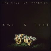 The Fall of Hyperion