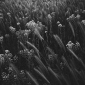 fleeting