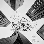City Bird