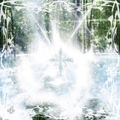 Wither & Bloom [Explicit]