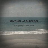 Sentinel of disorder