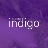 ambin.jpg
