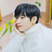 sunshinewoo 的头像