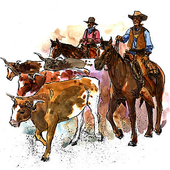 LastFM profile picture for @cowboys