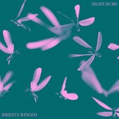 Briefly Winged
