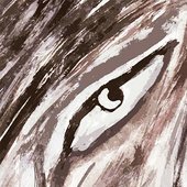 https://www.darkdescent.nl/artists/dark-frequencer/