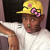 Avatar for Sinks20