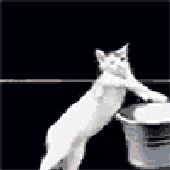 Avatar for Arysil
