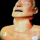 Avatar for venezos