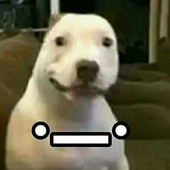 DrexusTwentyOne 的头像