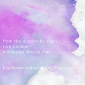 blueflowerredthorns - Tour Demos '03 - back.png