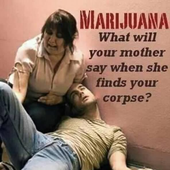 Cosiarken 的头像