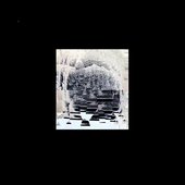 An Imagined State of Things Where Everything Is Perfect