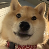 hirojl 的头像