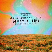 What A Life (feat. Stevie Appleton) - Single