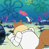 "SpongeBob?"