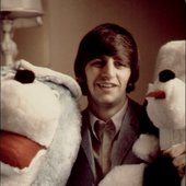 Ringo stuffies