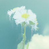 LastFM profile picture for @madman