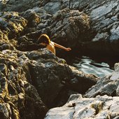 Sargassum aeterna
