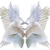 3553ae1d58cf3046f6110954c7d8efbf.jpg