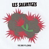 15.300 flors