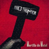 Martillo De Metal