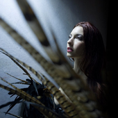 Chrysta Bell PNG