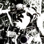moth____songs 的头像