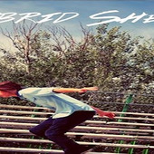 yt banner
