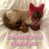 The world is not against you (demo collection)