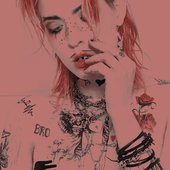 2903x2903