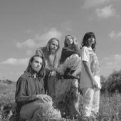 mamalarkey b&w