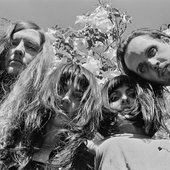 Drug Cult