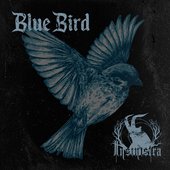 Blue Bird - Single