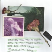 Lincoln Lutz's Album