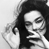 bjork-05.jpg