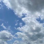ab6761610000e5eb4b09e714c89e9de93c56f9c0.jpg