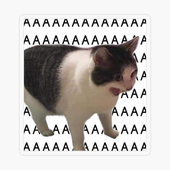 Avatar for aninjaaaaaa