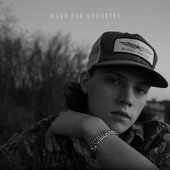 Made for Goodbyes