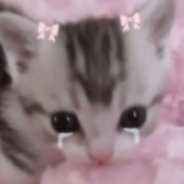 idylluv 的头像